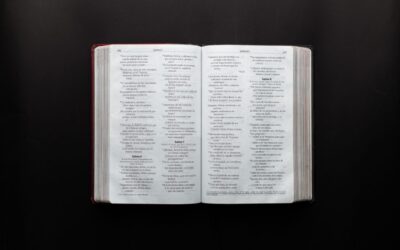 ESV vs NASB vs NIV (with Examples)