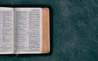 NRSV vs NASB vs ESV (with Examples)