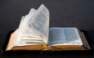 KJV vs NLT vs NASB (with Examples)